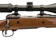Bolt Action Rifles
