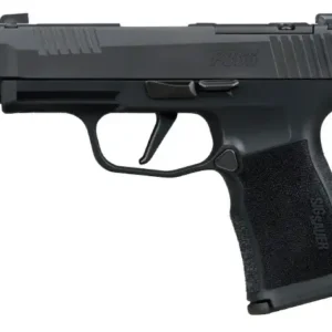 SIG SAUER P365XL COMP M.S. 380ACP PISTOL 3.1" X SERIES, O.R. 2-12RD MAG