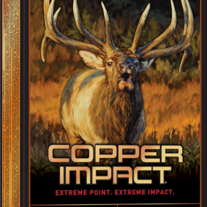 WINCHESTER COPPER IMPACT 300WM 180G LF 20RD BX 200RD CASE